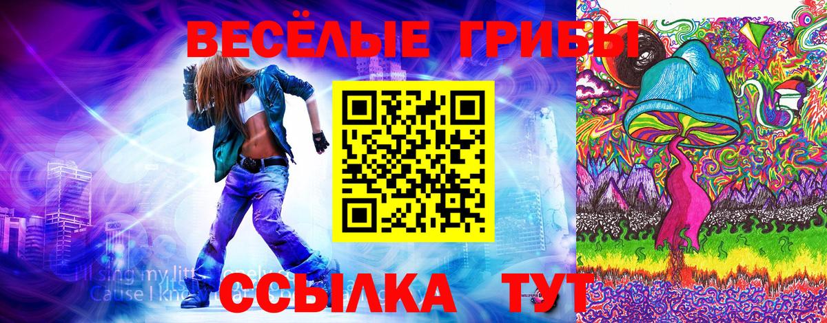 Первоуральск  Псилоцибиновые грибы Cubensis  Вход с VPN 